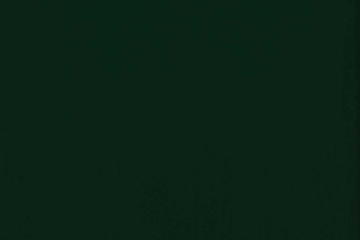 OSMO Garten- & Fassadenfarbe 7283 Englisch Grün (RAL 6009), 2,5 Liter