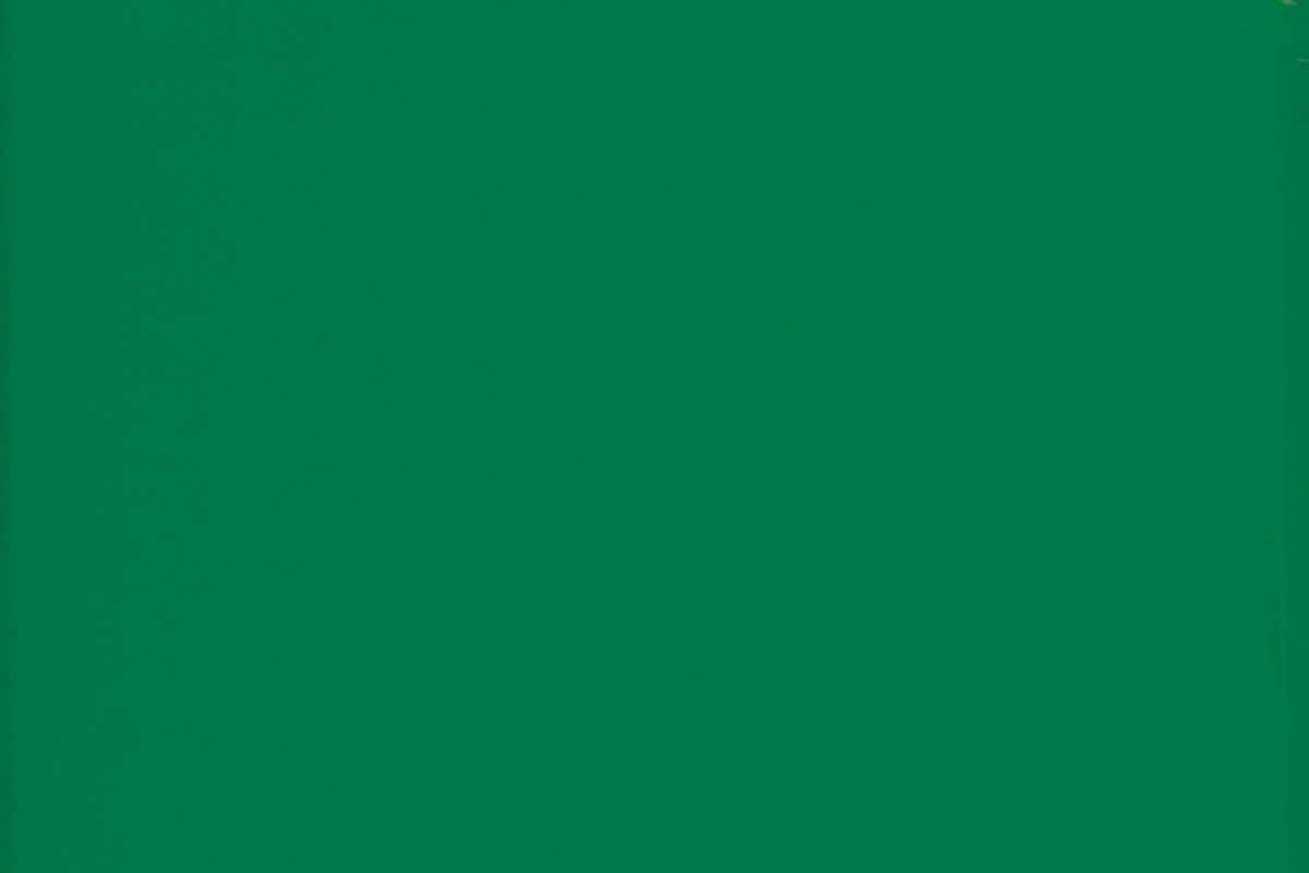 OSMO Garten- & Fassadenfarbe 7629 Minzgrün (RAL 6029), 0,75 Liter